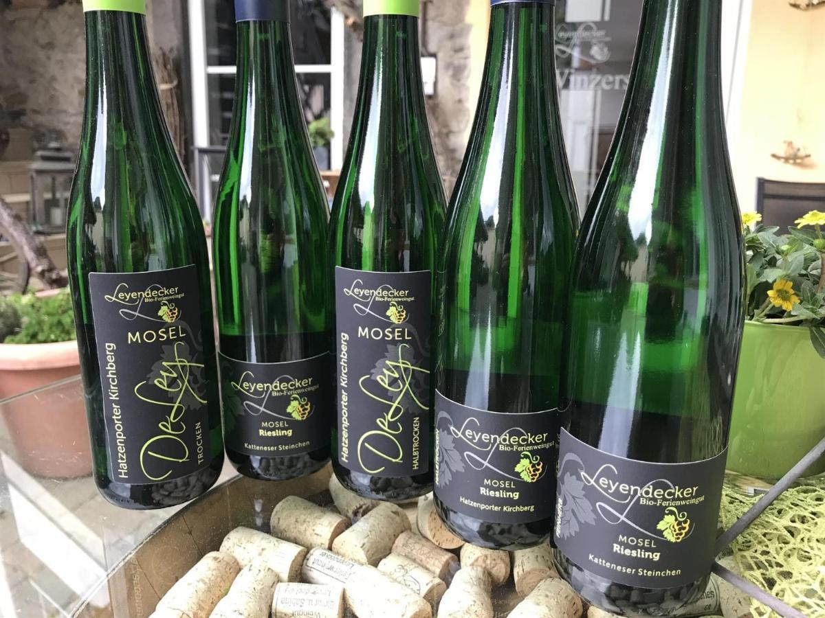 شقة Bio-Ferienweingut Leyendecker Kattenes المظهر الخارجي الصورة